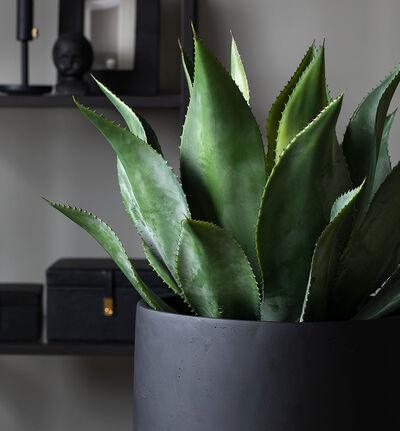 Kunstig Agave Kunstig Agave